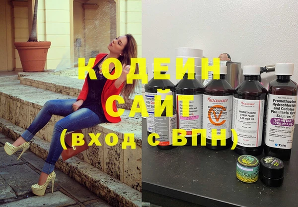 хмурый Алзамай