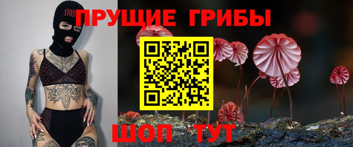 Псилоцибиновые грибы Magic Shrooms Тында